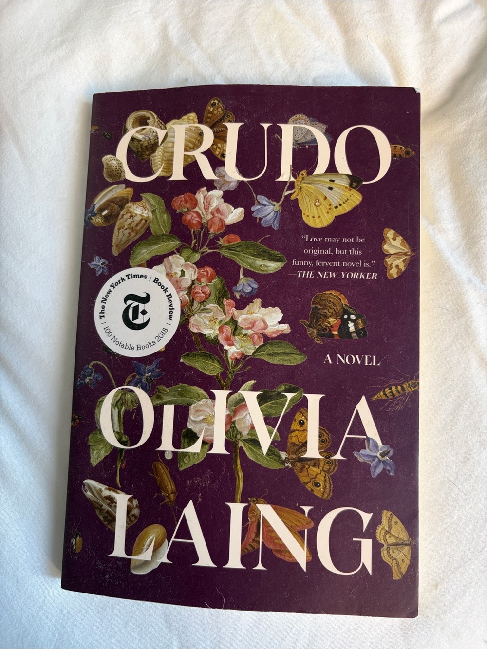 Olivia Laing Crudo Decorative Novel Cover - Deep Plum